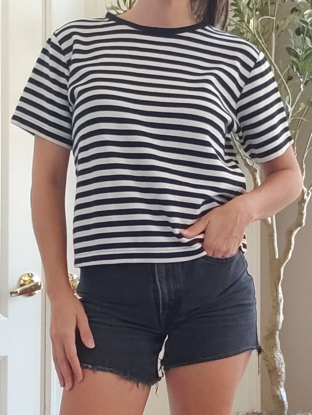 RADCLIFFE BY SAG HARBOR Petite Medium Black and White Striped T Shirt